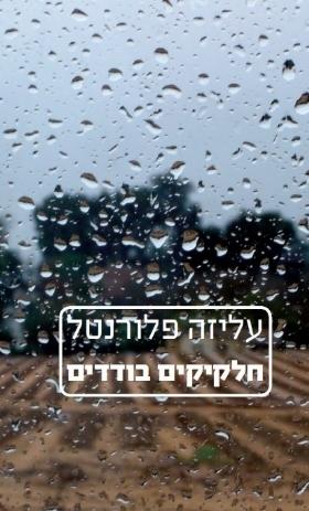 חלקיקים בודדים