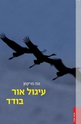 עיגול אור בודד