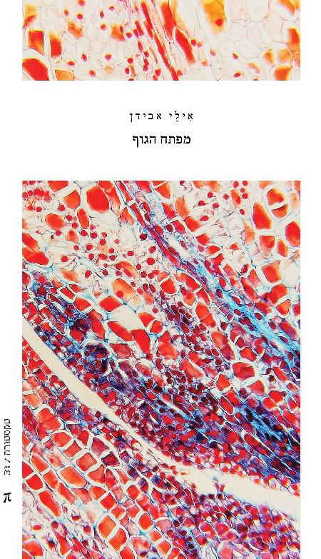 מפתח הגוף